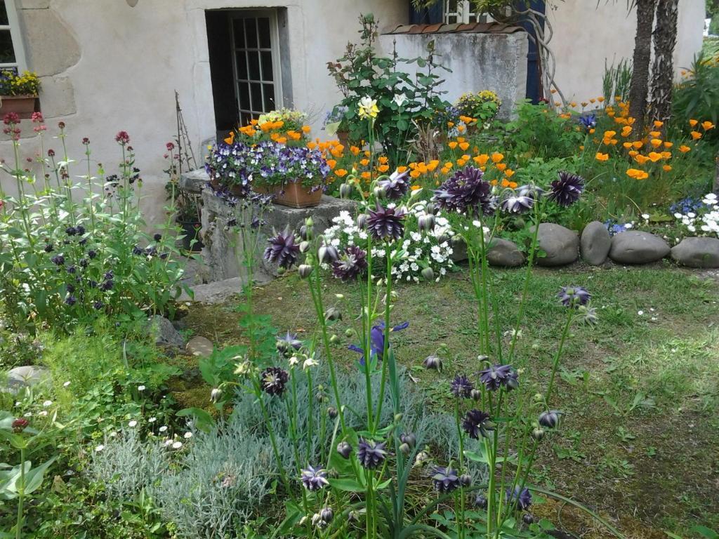 Chambres D'Hotes Aroha Sorde-lʼAbbaye Exteriér fotografie